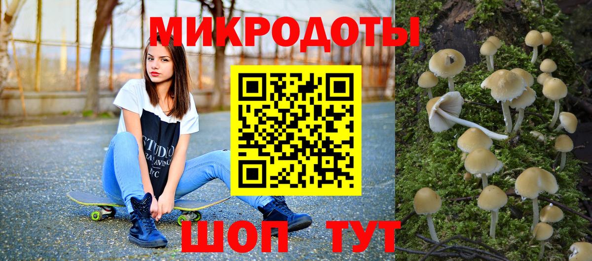 Псилоцибиновые грибы Psilocybine cubensis Аша