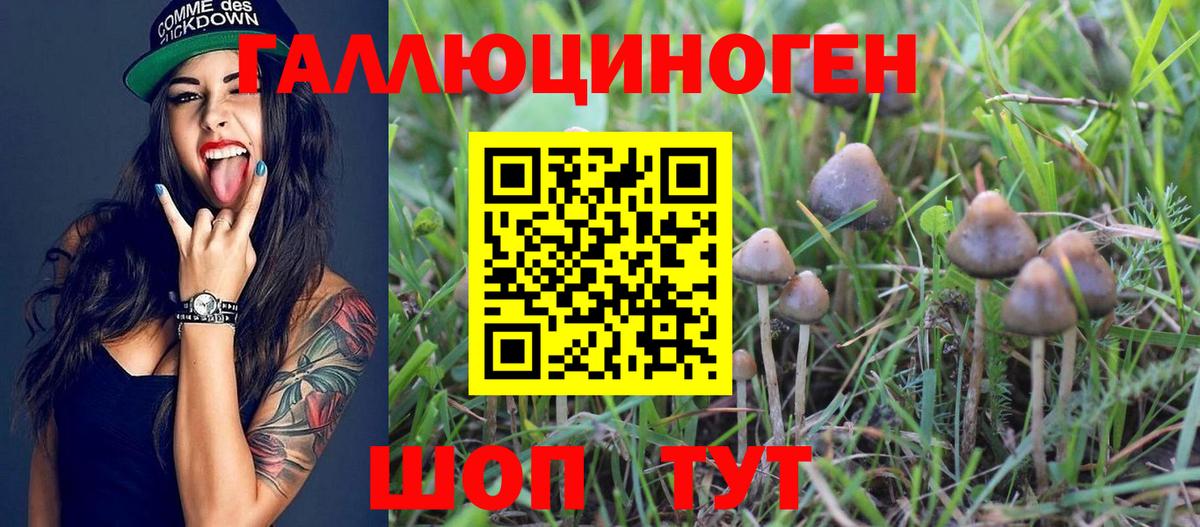 МЕФ Аша